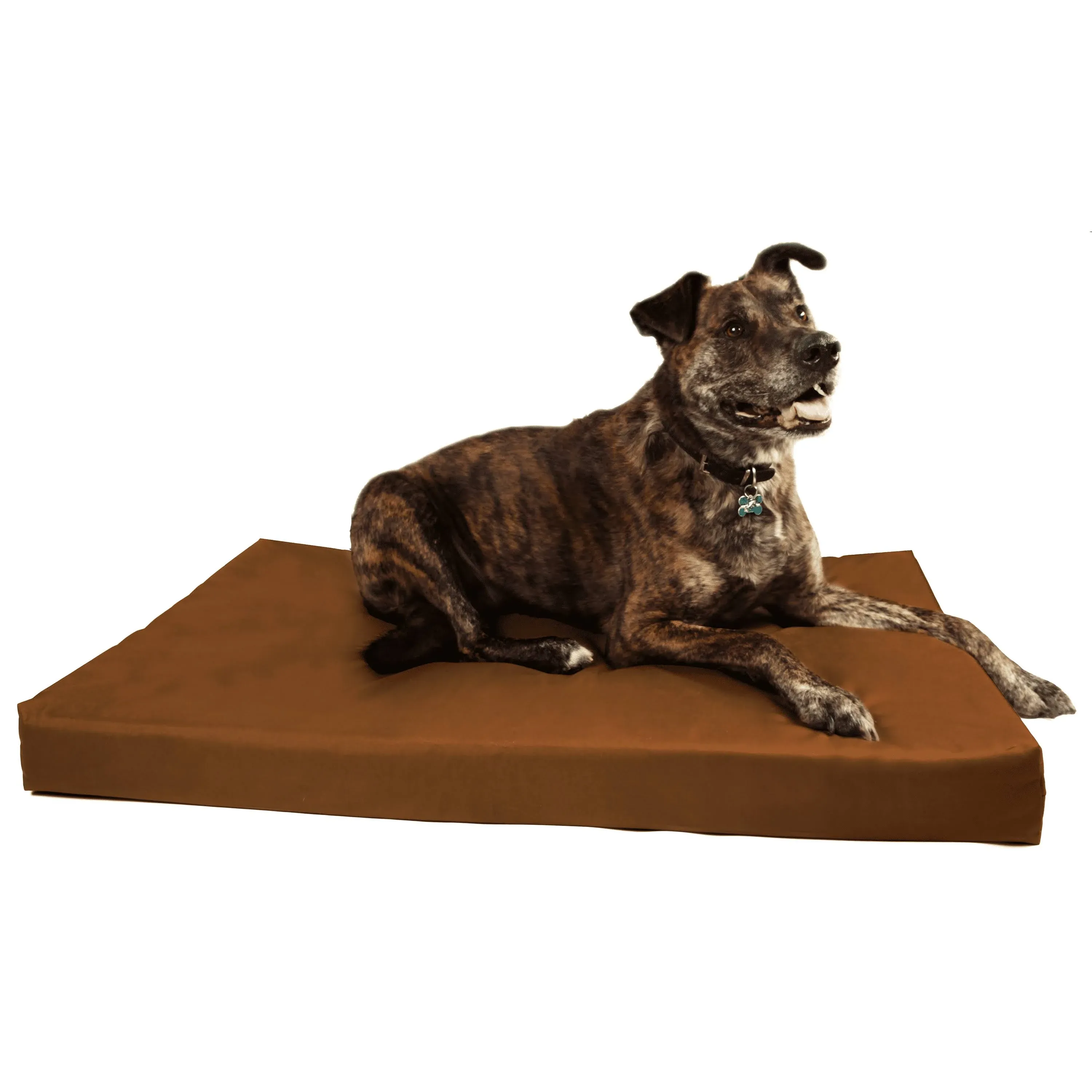 Orthopedic Dog Crate Bed | Big Barker