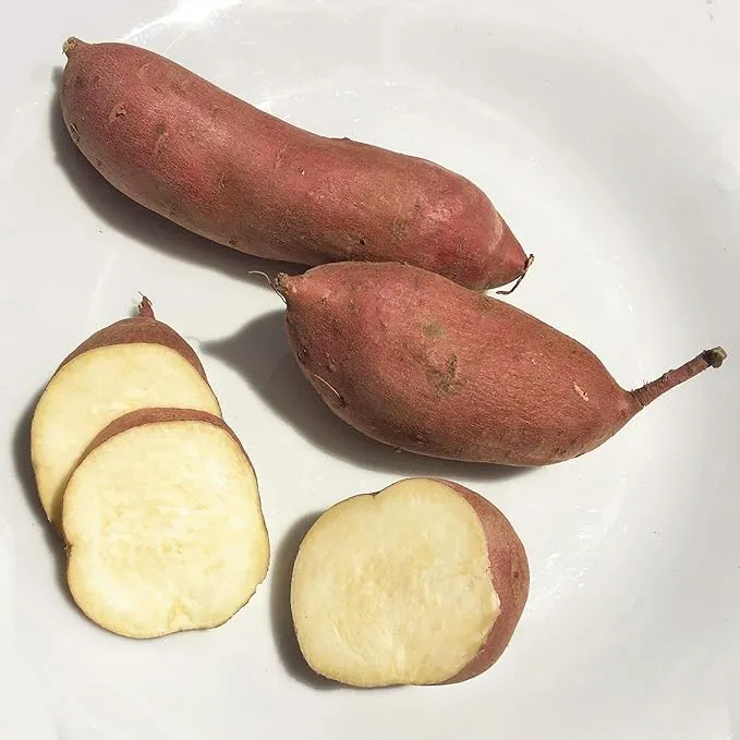 Kejora Japanese White Sweet Potatoes - 4 LBS