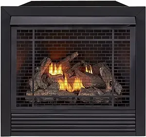 Duluth Forge FDI32R Dual Fuel Ventless Gas Fireplace Insert