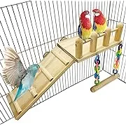 Bird Wooden Play Gyms Stands with Climbing Ladder and Acrylic Wood Swing  Green