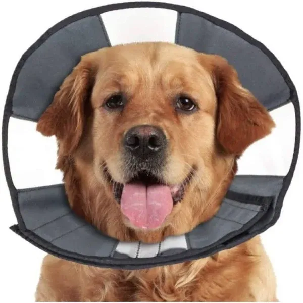 CS Tech Procone Soft Recovery Collar