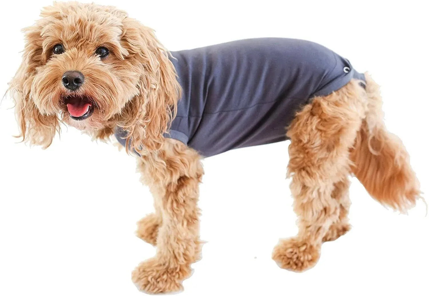 BellyGuard - After Surgery Recovery Onesie, Post Spay, Neuter, Body Suit for male and Female Dogs, Comfortable Cone Alternative