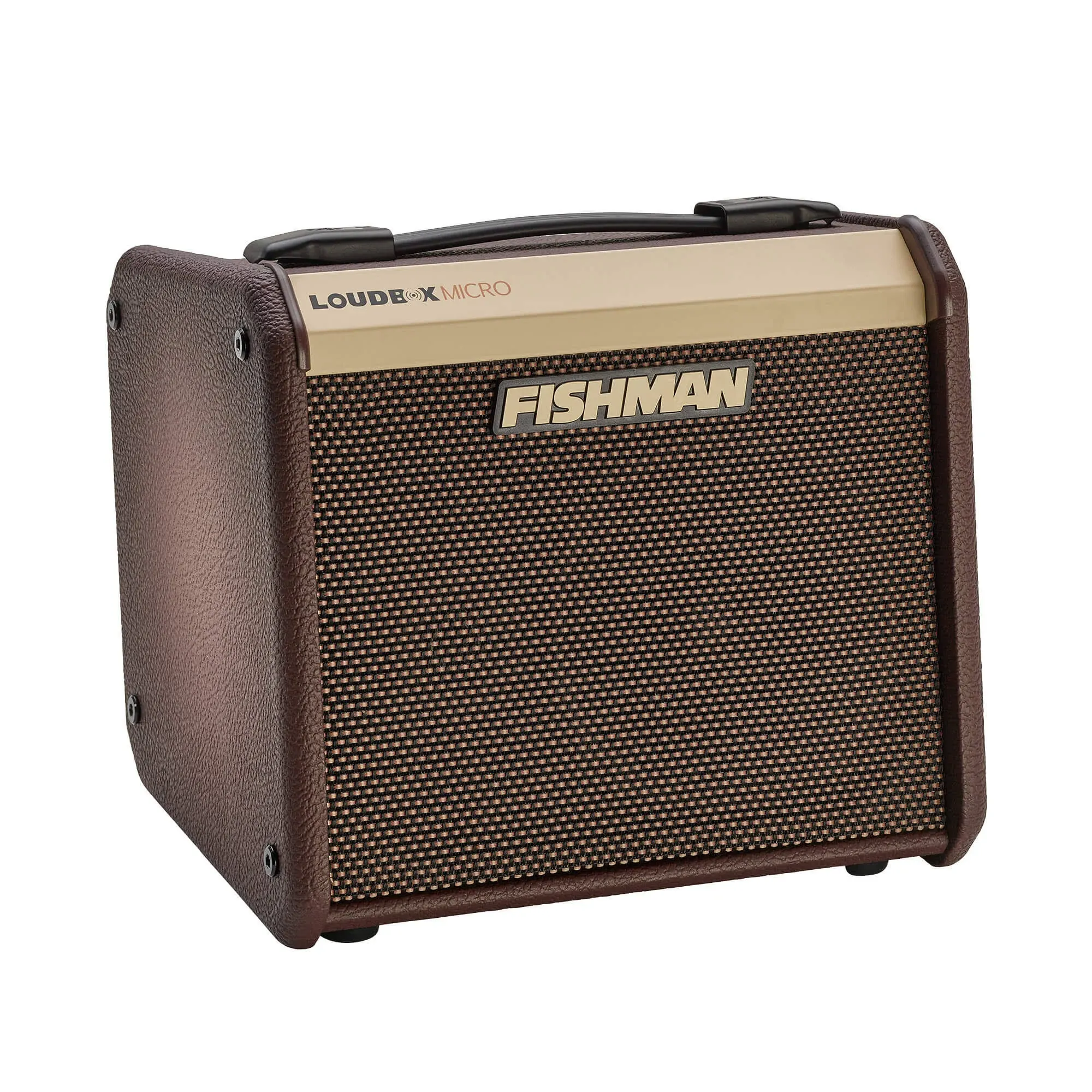 Fishman Loudbox Micro 2-Channel 40-Watt 1x5.25" Acoustic Guitar Combo | Reverb