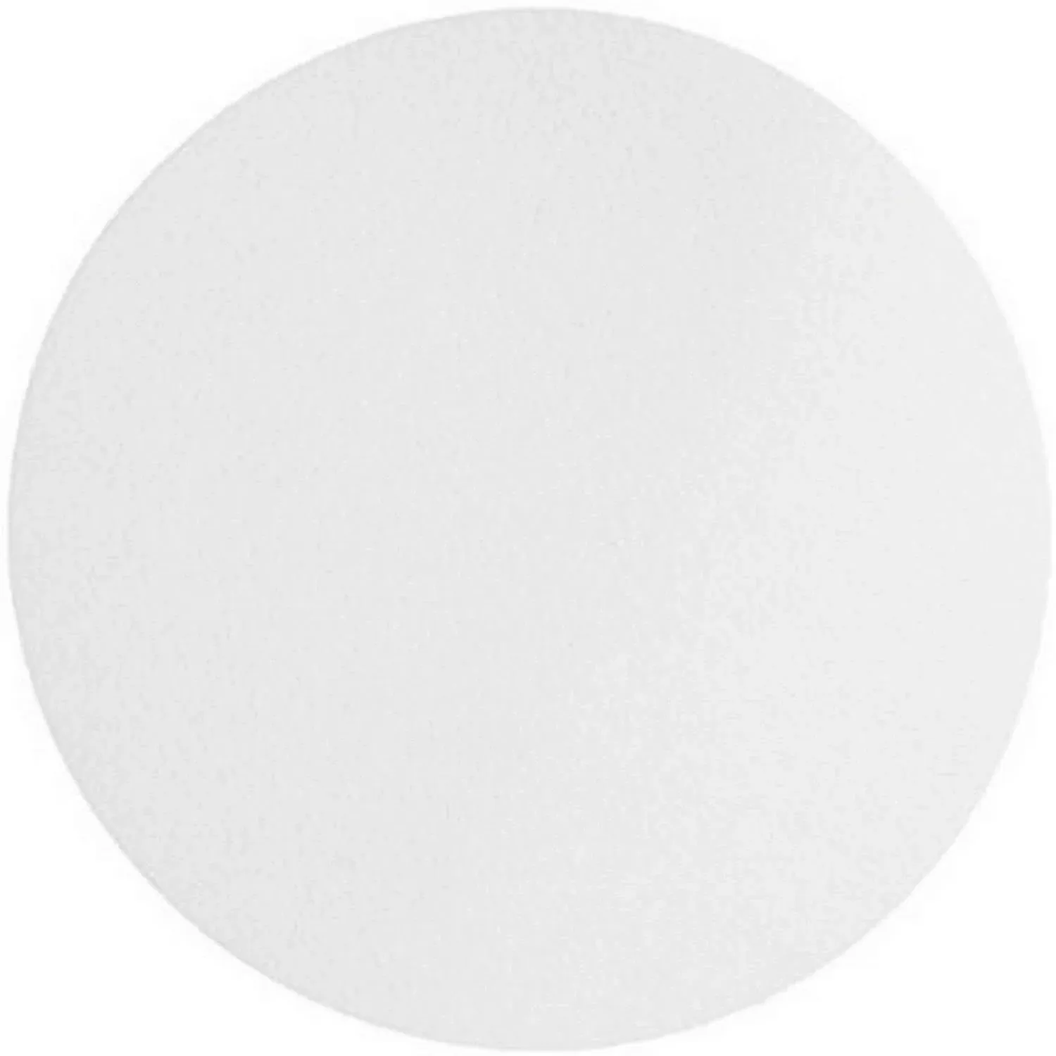 Omicron™️ 129047 Glass Fiber Filter 47mm,2.7µm 100/pk (Similar to GF/D 1823-047)