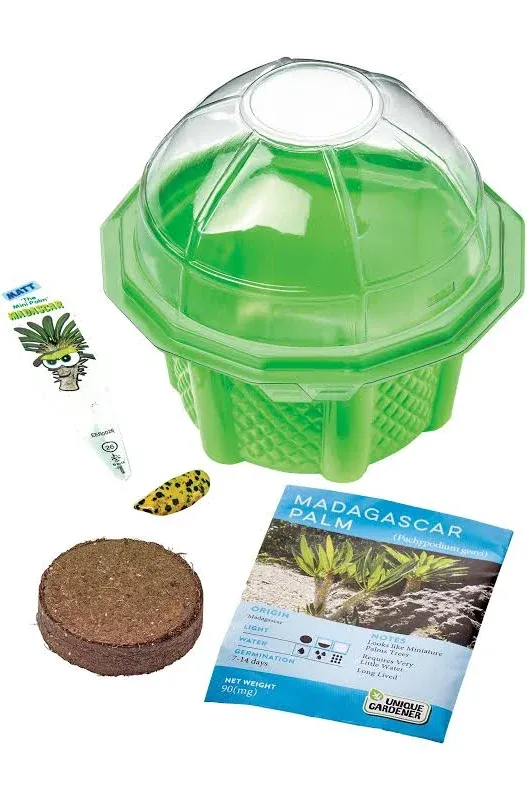 Toys By Nature - Matt the Madagascar Mini Palm - Indoor Micro-Gardening Kit