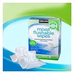 Kirkland Signature Moist Flushable Enhanced Cleansing & Freshness Ultra Soft Hypoallergenic Plant-Based Wipes - 632 Count