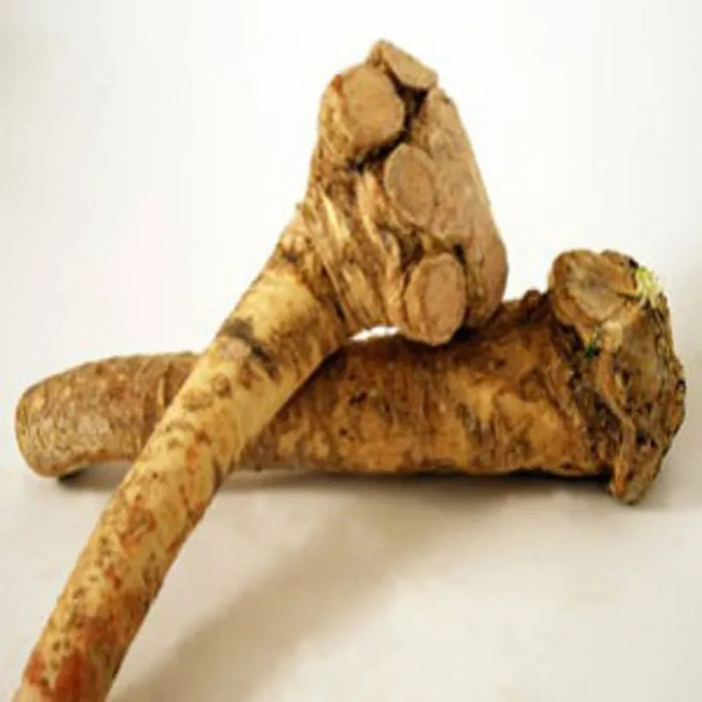 Horseradish Roots Natural , 1/2 pound/8 Ounces ,( USA Only,Can Not Be Shipped ...