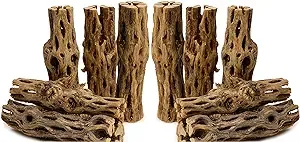 NApremium Natural Cholla Wood | 20 Pieces of 5-6" Long Natural Cholla Wood for ...