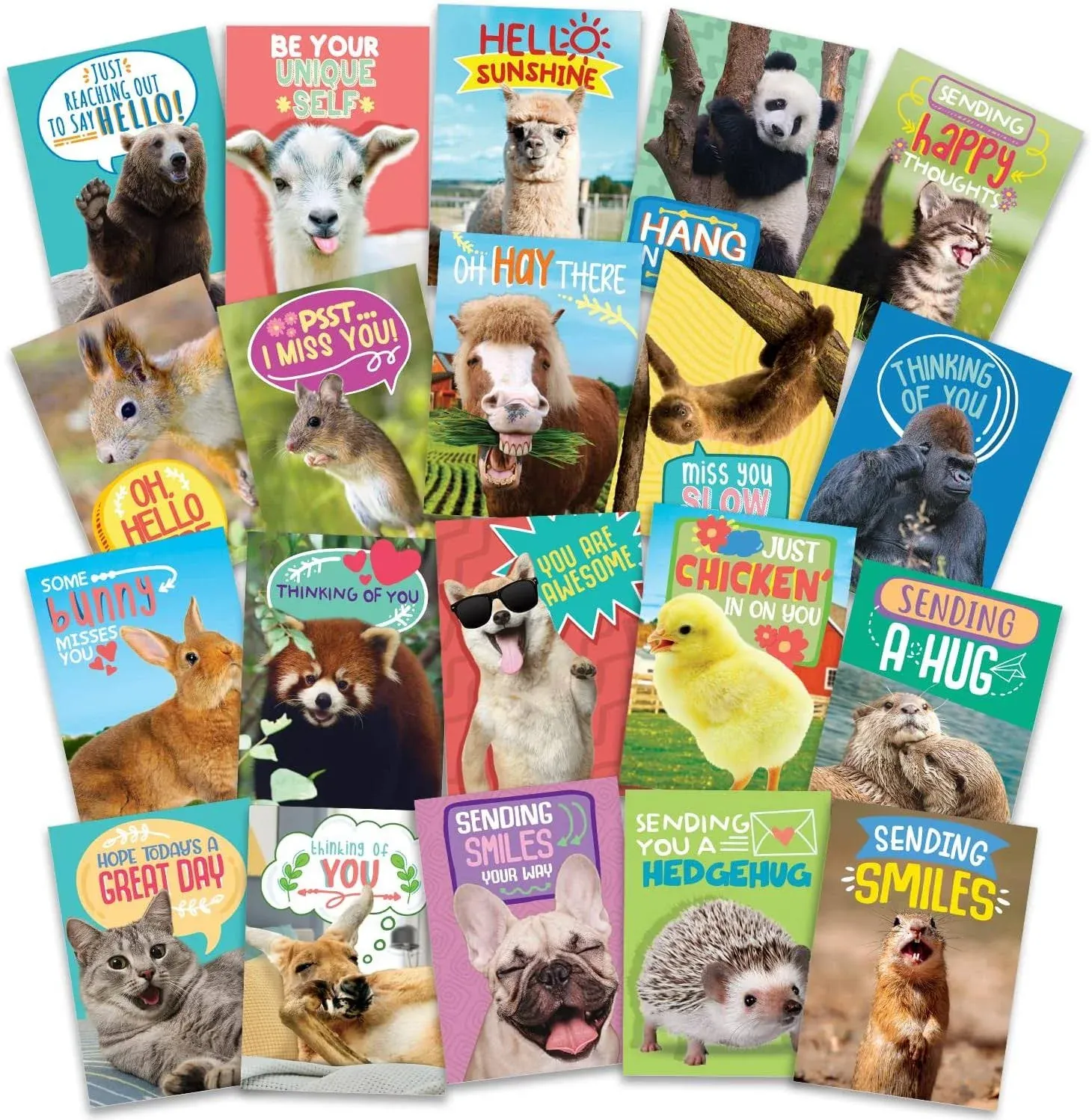 T Marie 40 Funny Animal Postcards - Bulk Thinking of You Postcard Pack for Kids ...