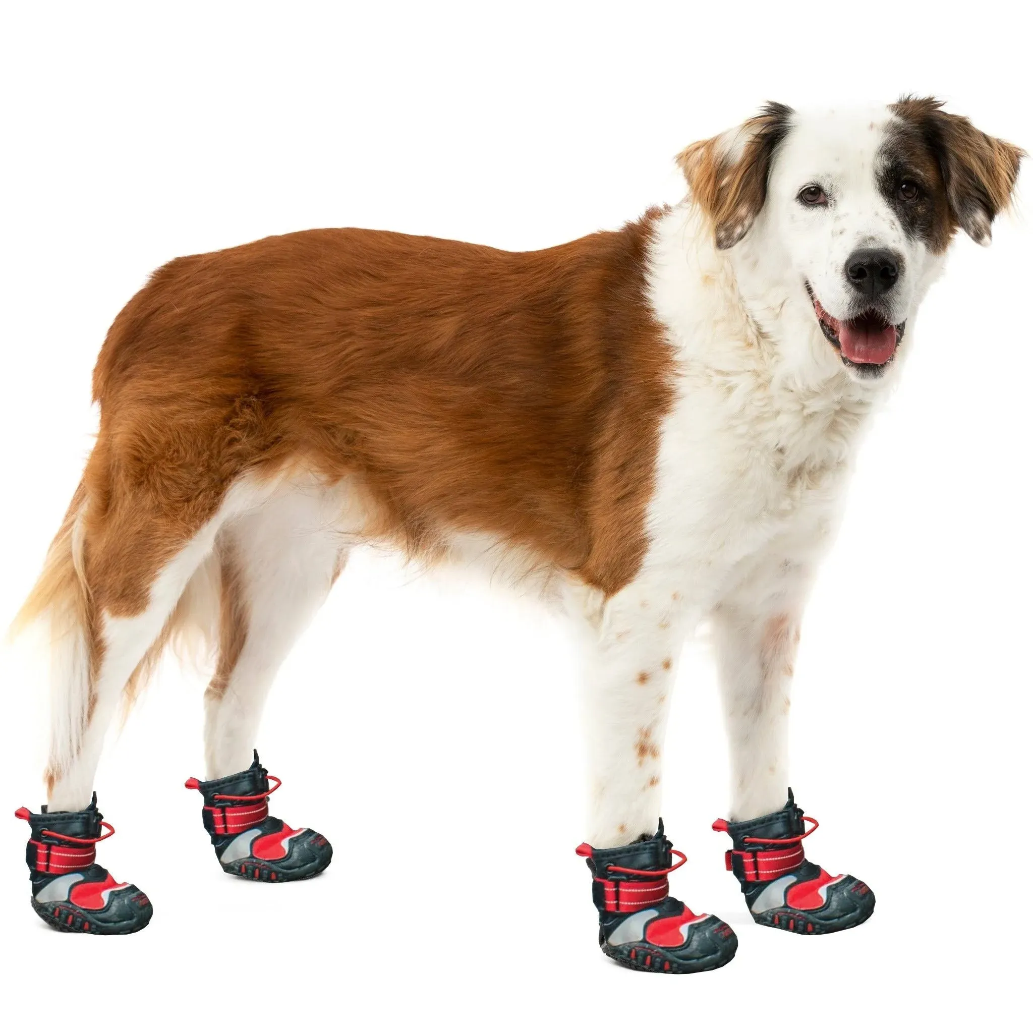 Kurgo Blaze Cross Dog Shoes