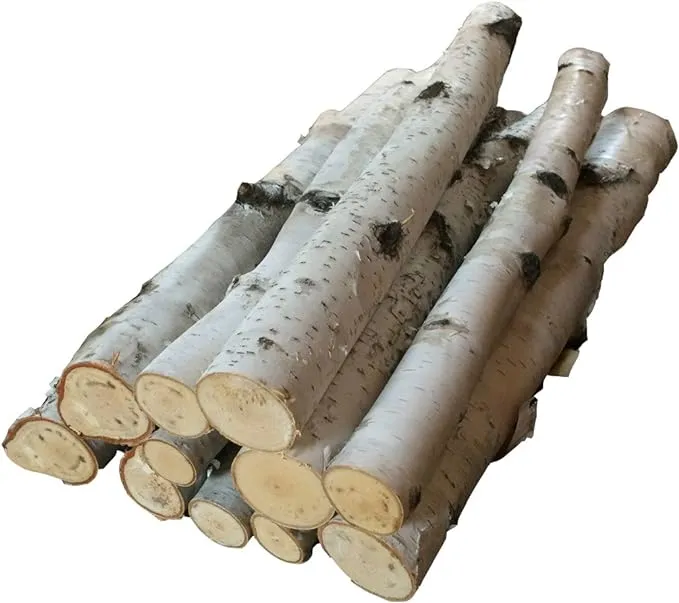 Birch Log Bundle, Large