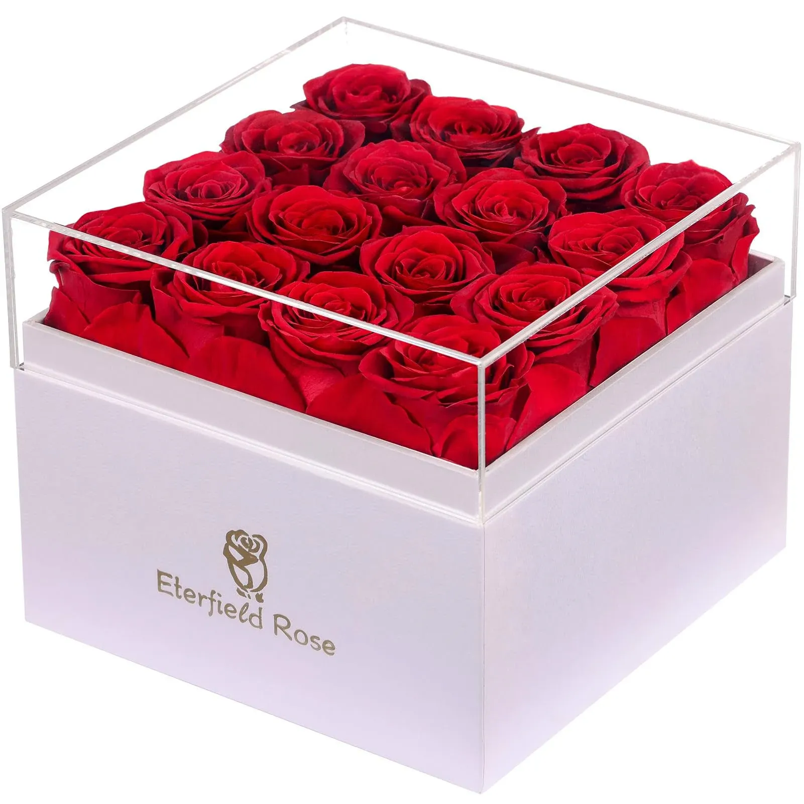 Preserved Roses That Last a Year Eternal Rose in a Box Real Rose without Fragran