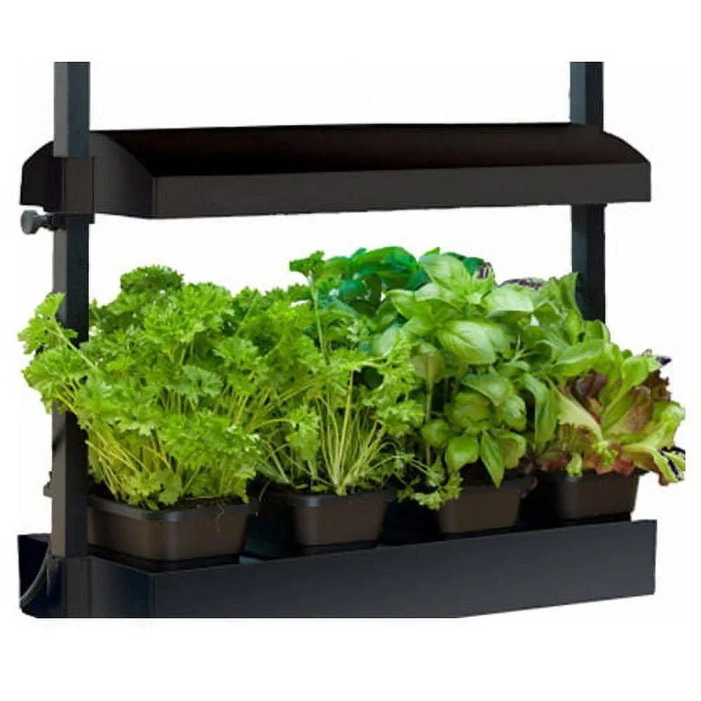 Micro Grow Light Garden Black