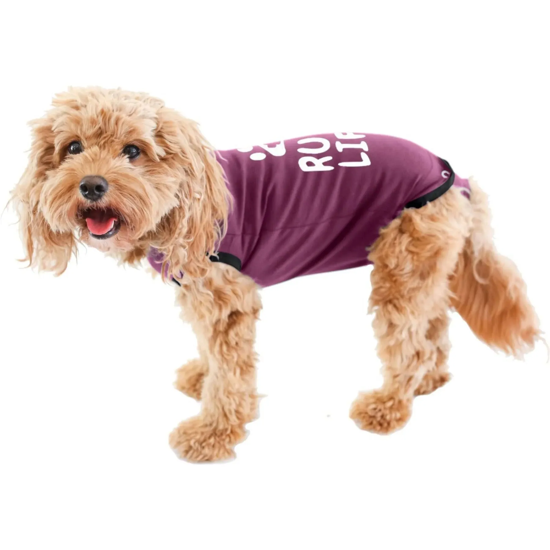 New Bellyguard dog recovery onsie large maroon Ruff Life