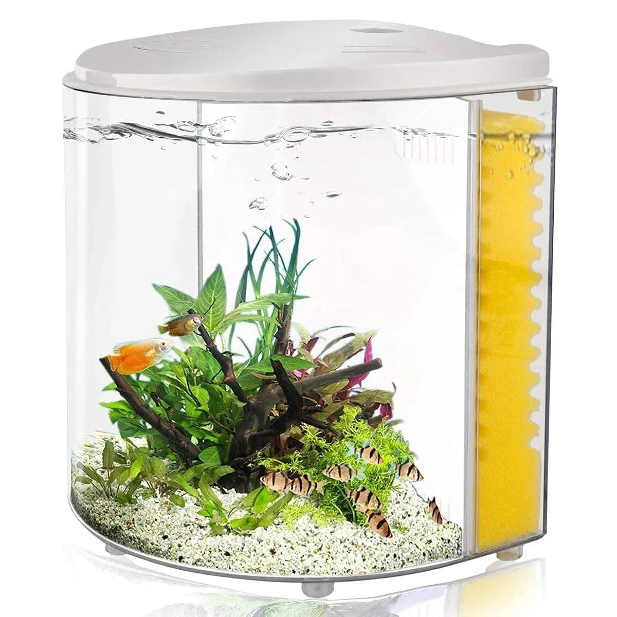 Small Fish Tank 1.2 Gallon Betta Fish Tank with Filter and Light for Shrimp, Jellyfish, Goldfish, Aquarium Starter Kit for Home, Office, Room, Decorative Desktop