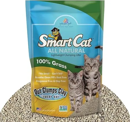 SmartCat All Natural Clumping Cat Litter, 10 Pound (160oz 1 Pack) - Alternative to Clay and Pellet Litter - Chemical and 99% Dust Free - Unscented and Lightweight