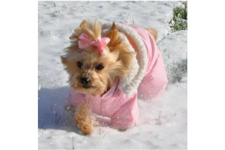 Dog Coat - "Ruffin\' It" Snowsuit - Pink - Small (S)