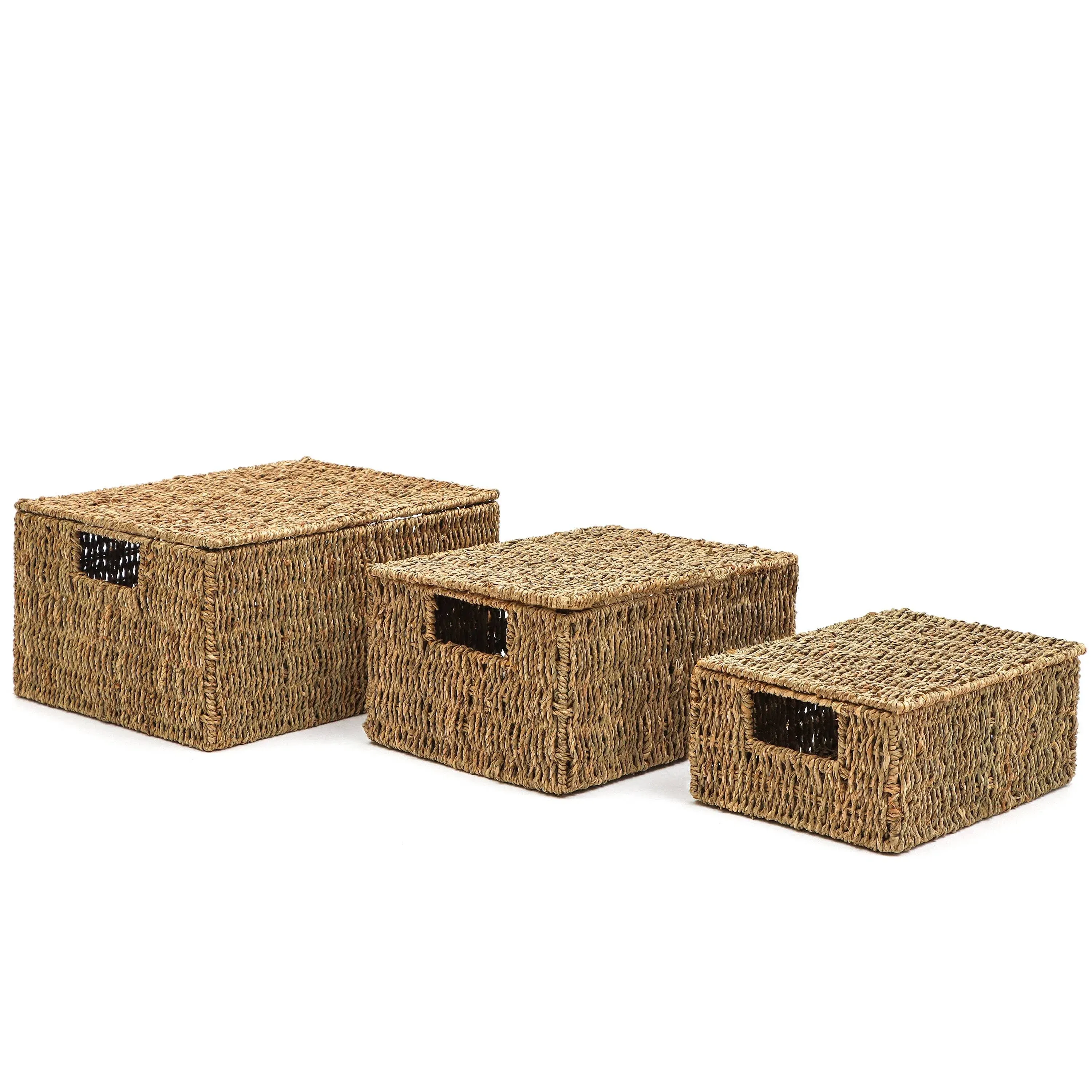 Set of 3 Rectangular Seagrass Baskets with Lids by Trademark Innovations