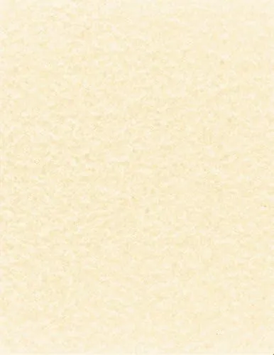 NextParch 8-1/2" x 11" (Letter Size) 65 lb. Parchment Cover Card Stock (Natural)