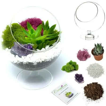 Creations by Nathalie Plant Terrarium Kit