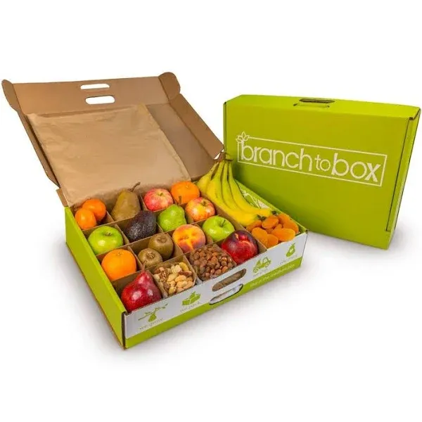 A Gift Inside Branch to Box Medium Fruit & Snack Box