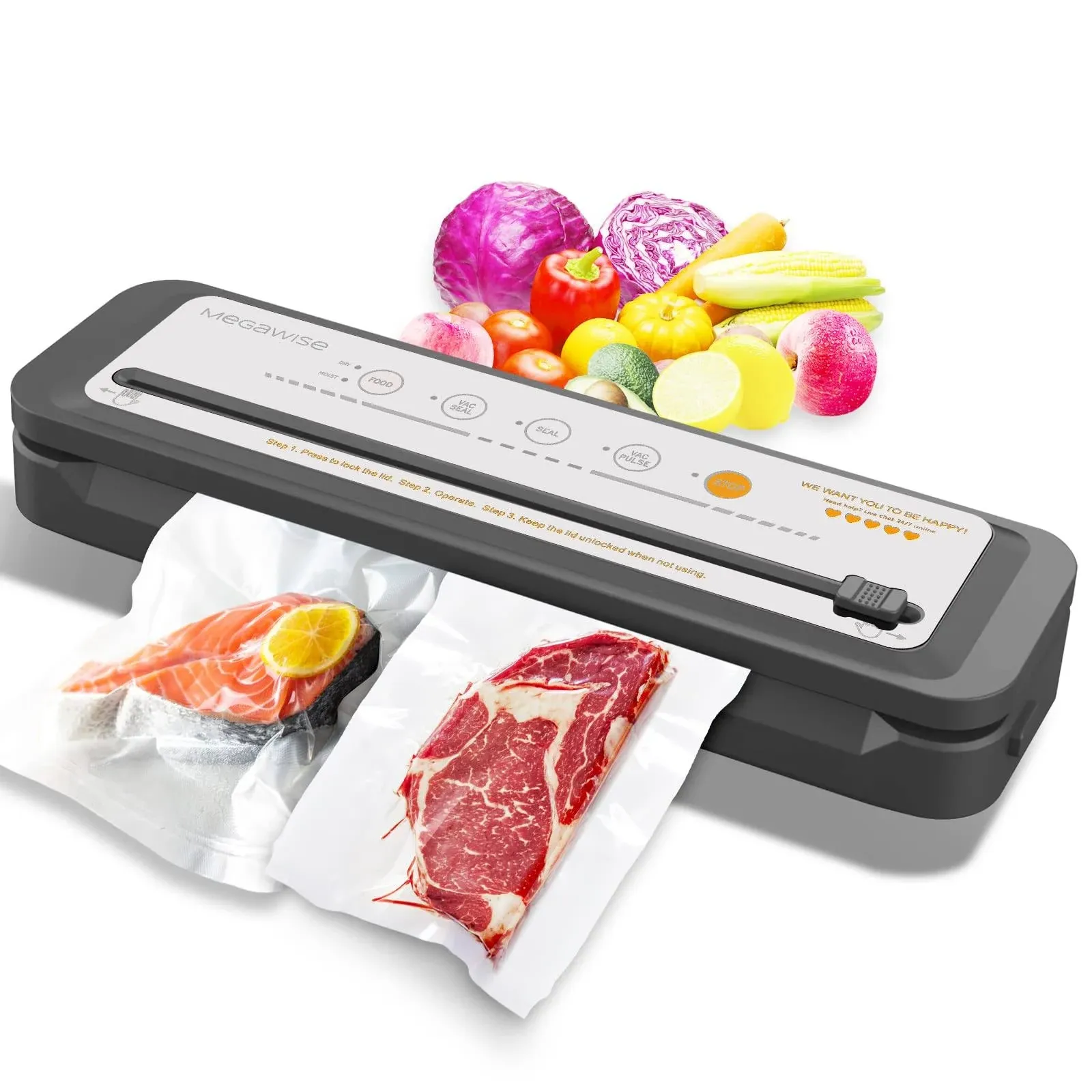 MEGAWISE Powerful and Compact Vacuum Sealer Machine (Silver Grey)