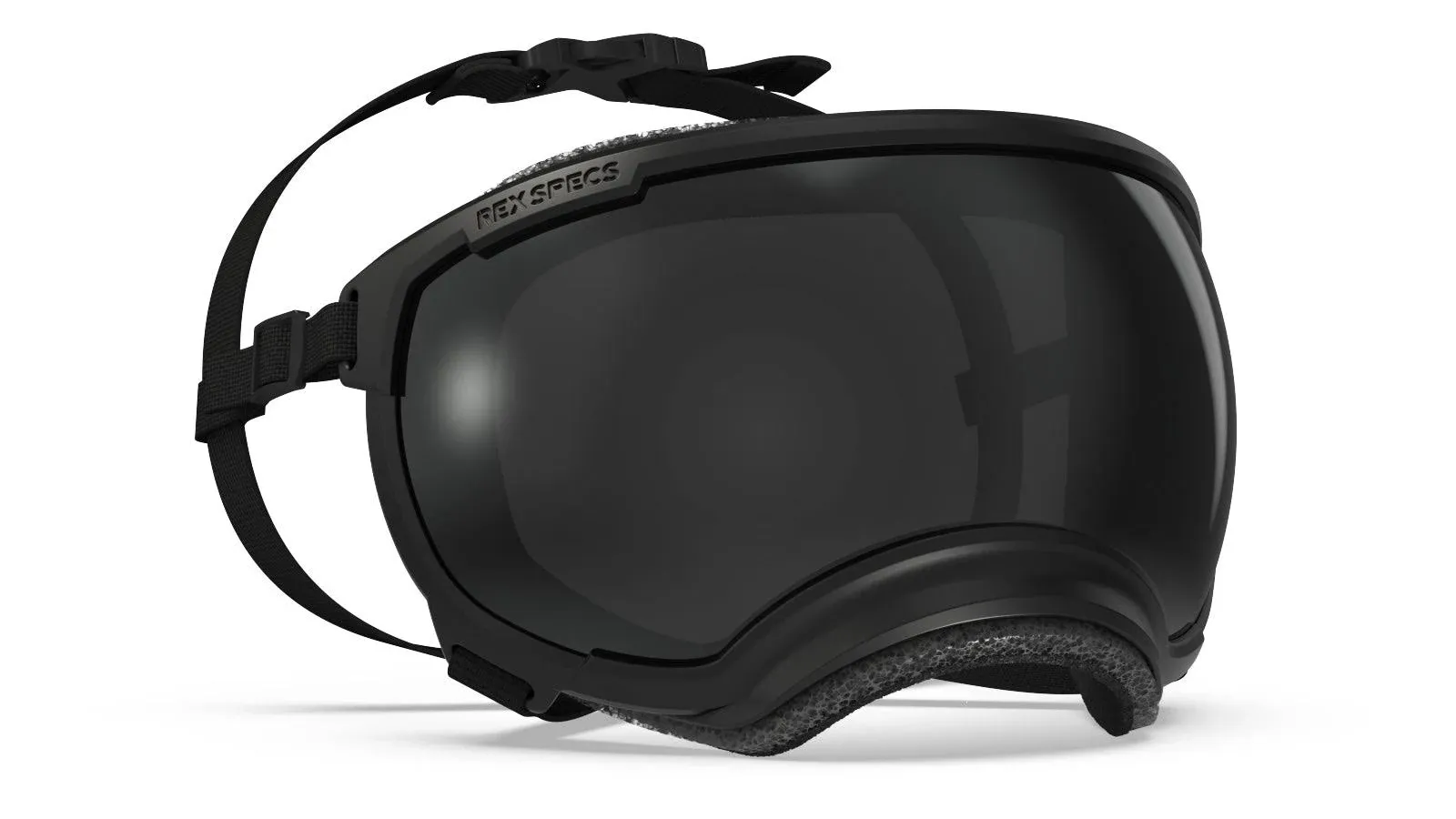 Rex Specs V2 Dog Goggles (Large, Black)