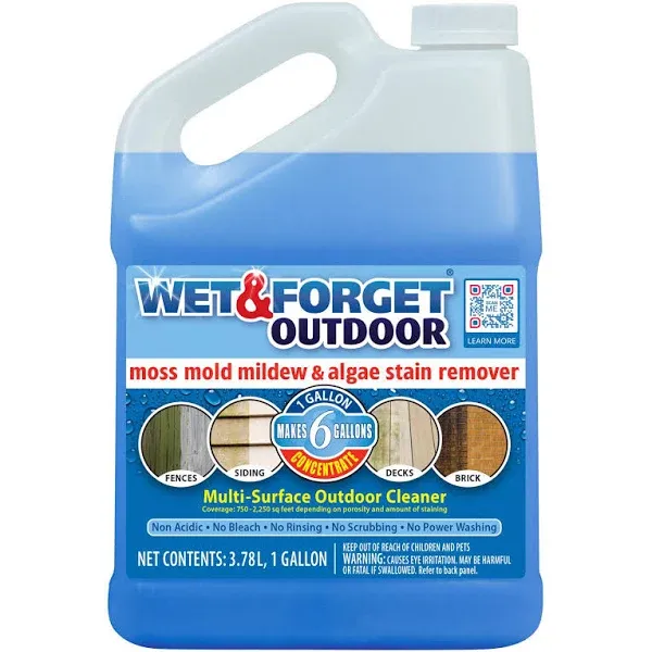 Wet & Forget 1 Gal Outdoor Concentrate Cleaner