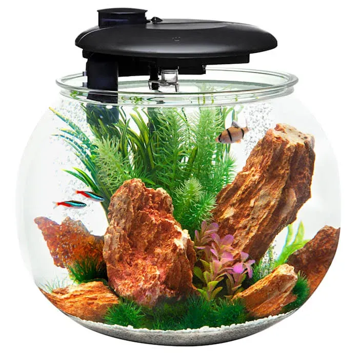 Penn-Plax AquaSphere 360 Large Bowl-Shaped Aquarium for Freshwater and Saltwater Setups – Fully Integrated Filtration System and LED Light Display - Durable Polycarbonate – 24 Gallons