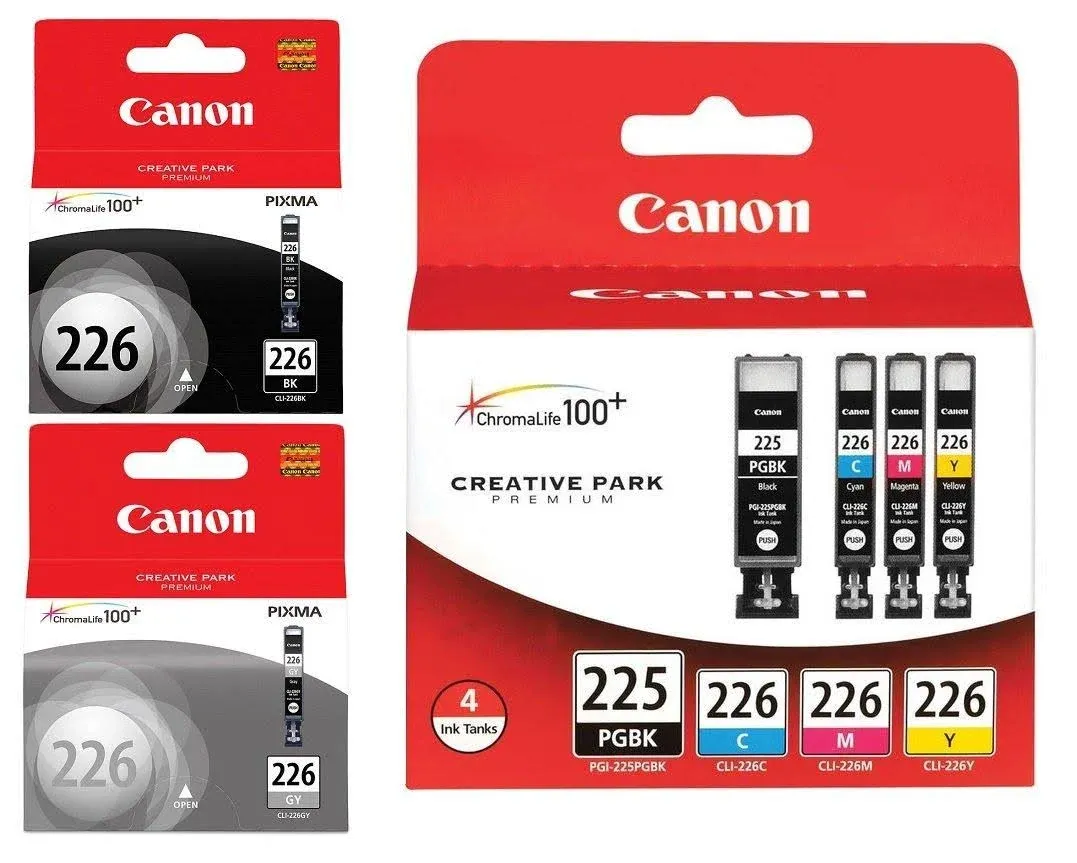 Canon Ink 4530B008