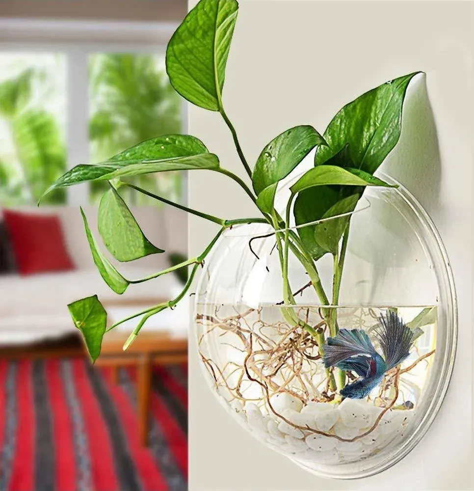 Wall-Hanging Fish Bowl Acrylic Wall-Mounted Plant Pot 1 Gallon Fish Tank 11.5-inches Decoration Planter