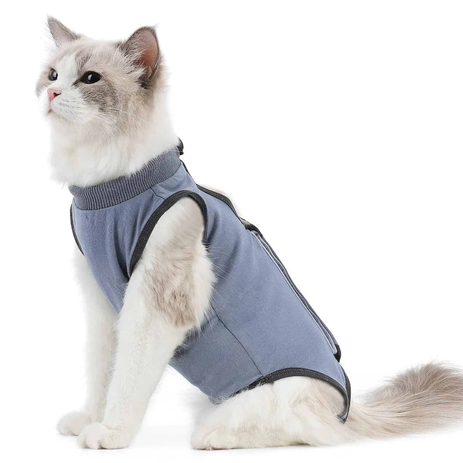 kzrfojy Cat Surgery Recovery Suit Cat Onesie for Cats After Surgery Spay Surgical Abdominal Wound Skin Diseases E Collar