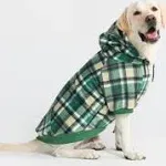 Spark Paws Green Plaid Dog Hoodie