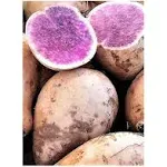 Okinawan Hawaiian Purple Sweet Potatoes 3 Lbs.