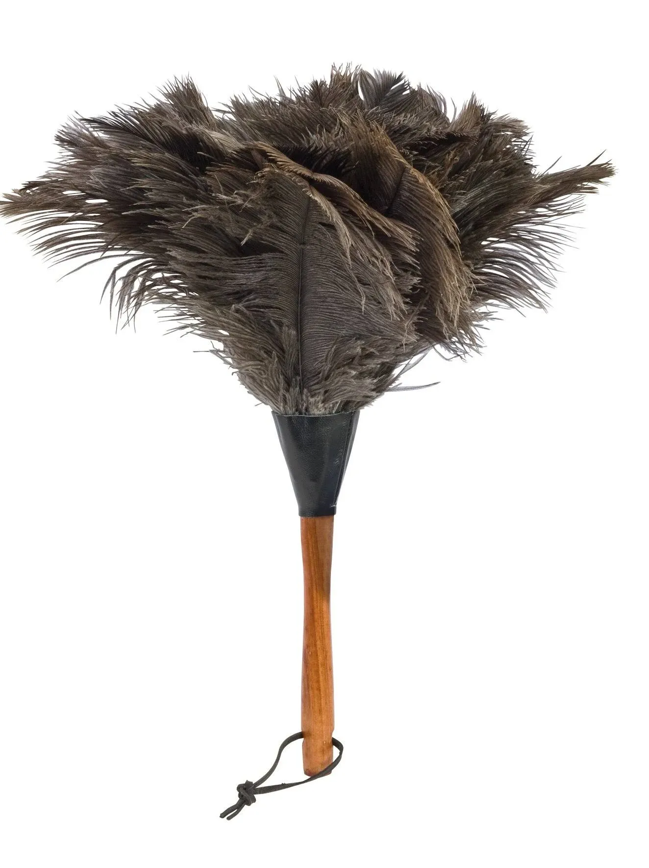 Redecker Ostrich Feather Duster with Varnished Wooden Handle, Small, 13-3/4-Inches