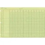 NATIONAL Analysis Pad, 13 Columns, Green Paper, 11 x 16.375", 50 Sheets (45613)