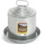 2 Gallon Double Wall Metal Poultry Fount