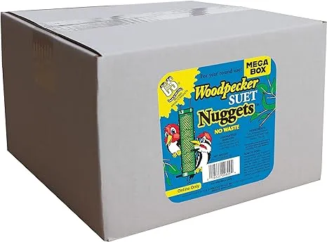 C&S Wild Bird Woodpecker Suet Nuggets Mega Box