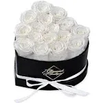 16-Piece Forever Flowers Heart Shape Box - Preserved Roses, Immortal Roses That Last A Year - Eternal Rose Preserved Flowers for Delivery Prime Mothers Day & Valentines Day - White