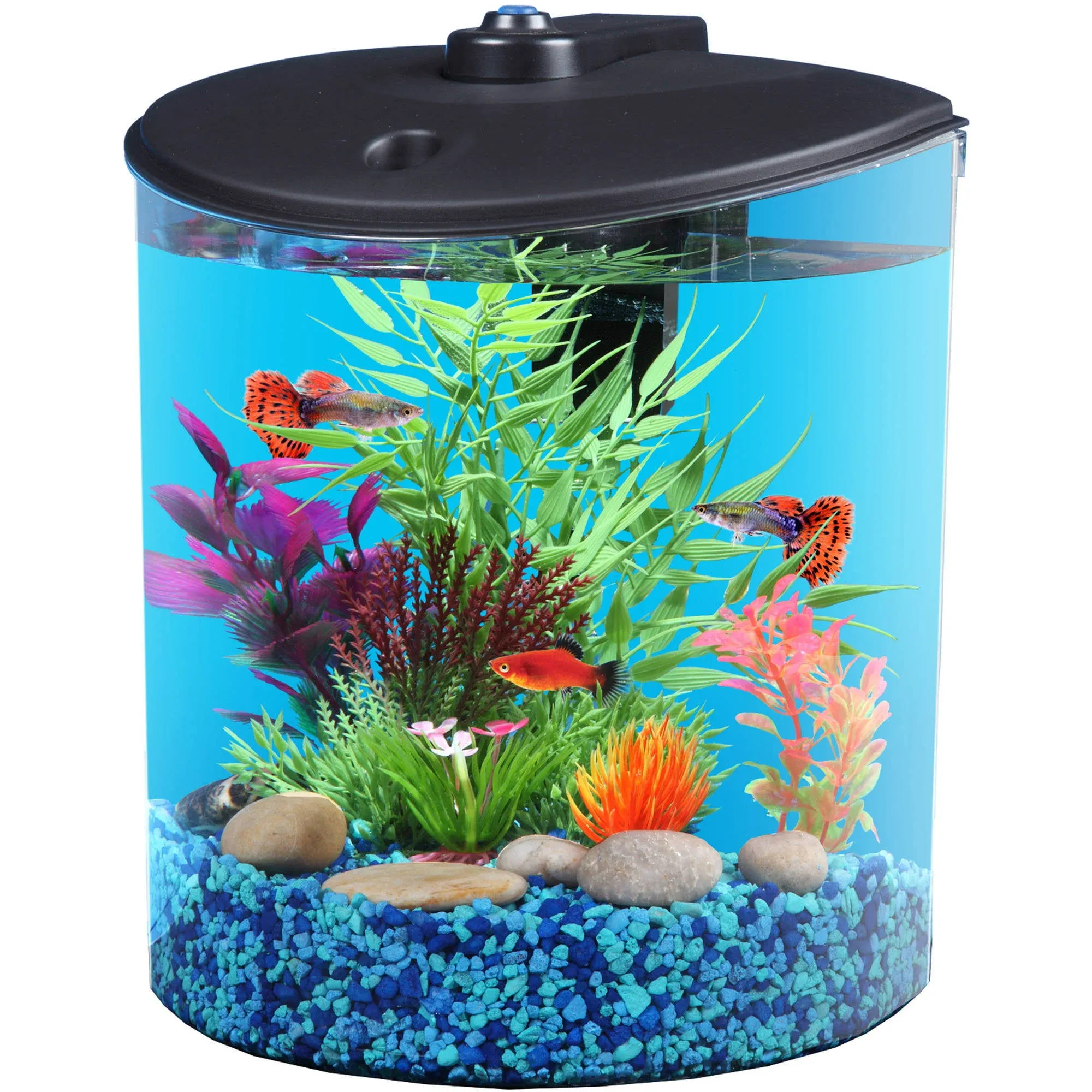 AquaView 1.5-Gallon Fish Tank with LED Lighting and Power Filter 