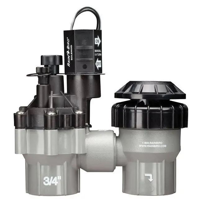 Rain Bird Anti-Siphon Valve DASASVF075