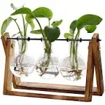 XXXFLOWER Plant Terrarium with Wooden Stand, Air Planter Bulb Glass Vase Metal Swivel Holder Retro Tabletop for Hydroponics Home Garden Office Decoration - 3 Bulb Vase