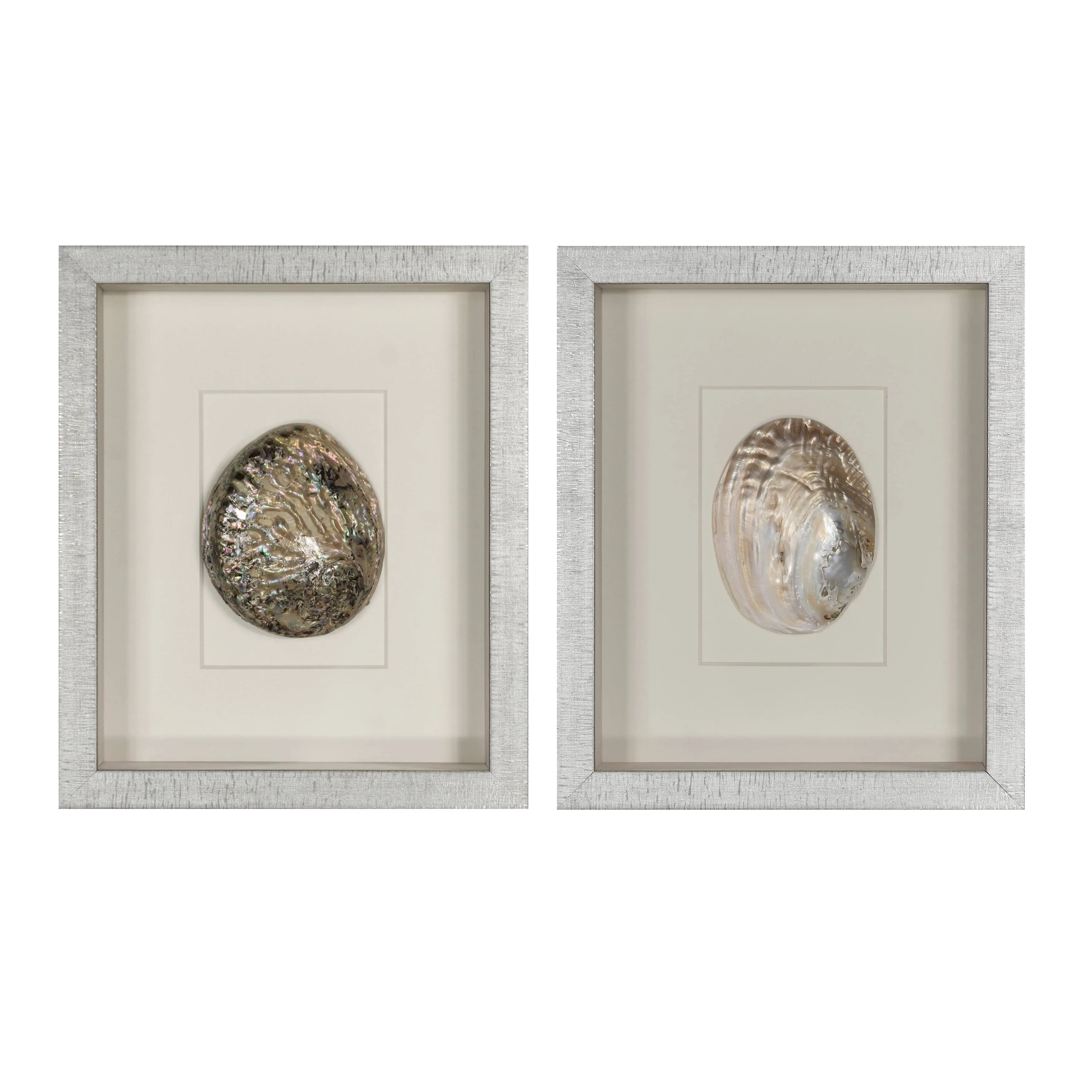 HUJI Abalone &amp; Pearl Shell Shadow Box Wall Décor Set