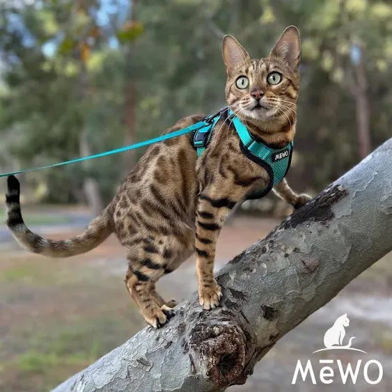 MeWO Cat Harness and Leash Set - Escape Proof, Reflective, Adjustable for a Safe & Snug Fit, Cat Walking Harness and Leash Cat Leash and Harness Set Cat Leashes and Harnesses for Walking Cat Harnesses