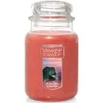 Yankee Candle Large Jar Candle 110-150hr 22 oz Paradise CLIFFSIDE SUNRISE fruity