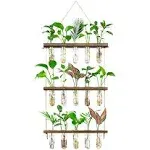 Monsiter QE 3 Tier Large Propagation Stations Wall Hanging Plant Terrarium with Wooden Stand, Retro Propagation Test Tube for Hydroponic Plants Cutting Flower, Propagator Home Office Patio Decor Gifts