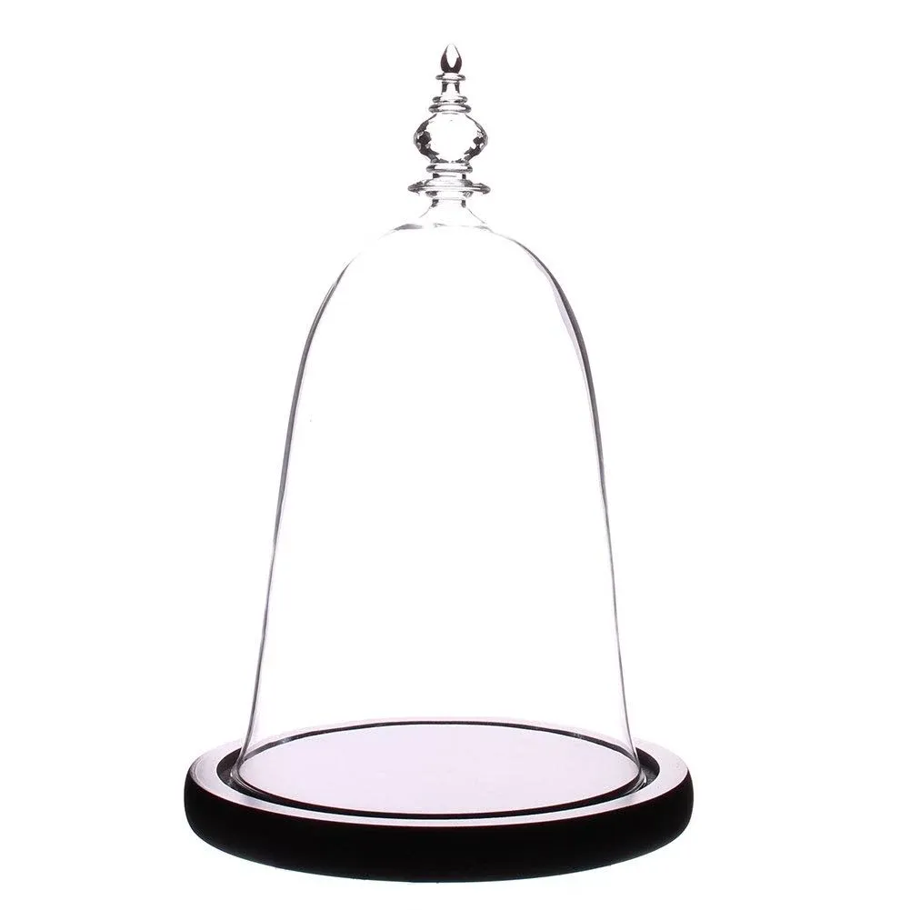 Glass Dome with Black Wooden Base Beauty and The Beast Theme