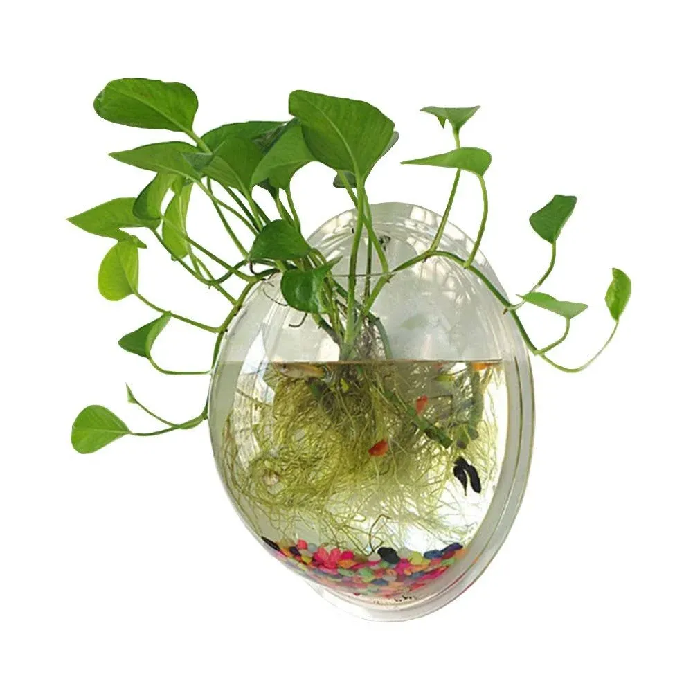 Hanging Wall Mounted Fish Bowl Betta Tank Aquarium Wall Decor Plant Fish Bubble - Clear (Medium)