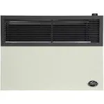 Ashley 17,000 BTU Direct Vent Natural Gas Wall Heater