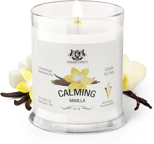 Calming Vanilla Aromatherapy Deodorizing Soy Candle